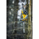 DEWALT DCMCST635N 54V reťazová píla 35cm